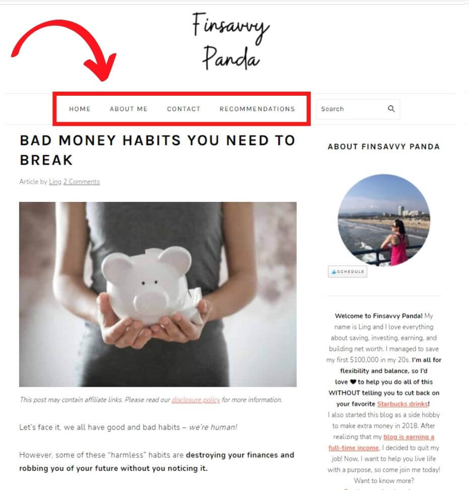 what is a page on blog website