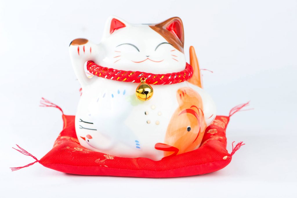 what should I blog about lucky cat