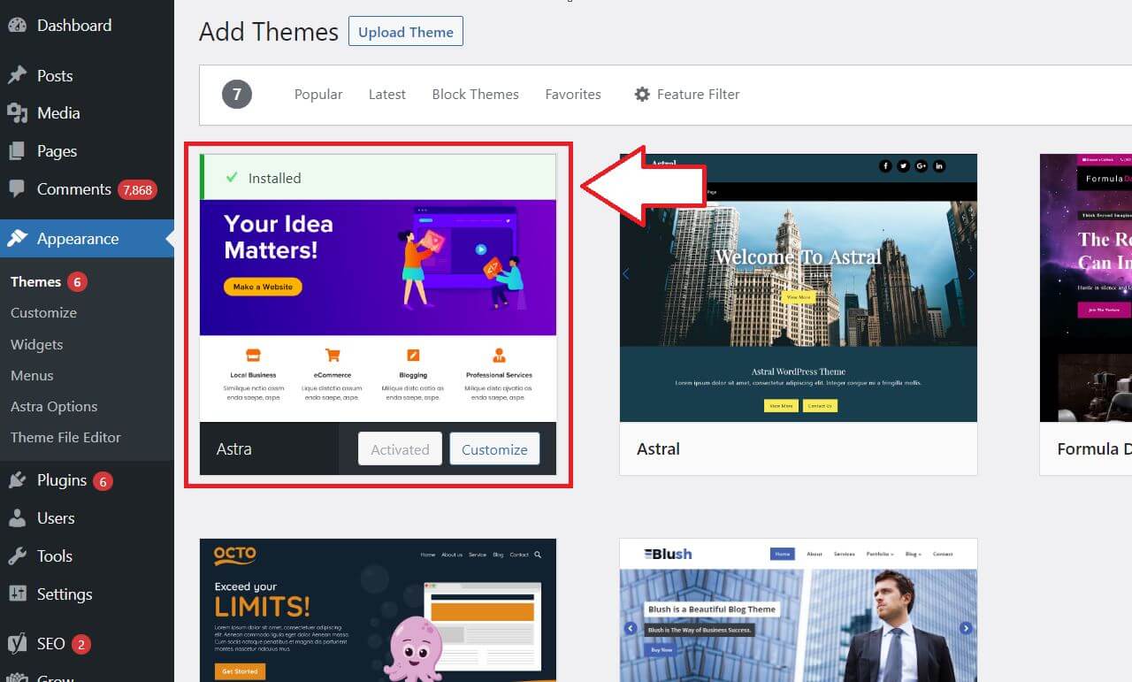astra-theme-preview