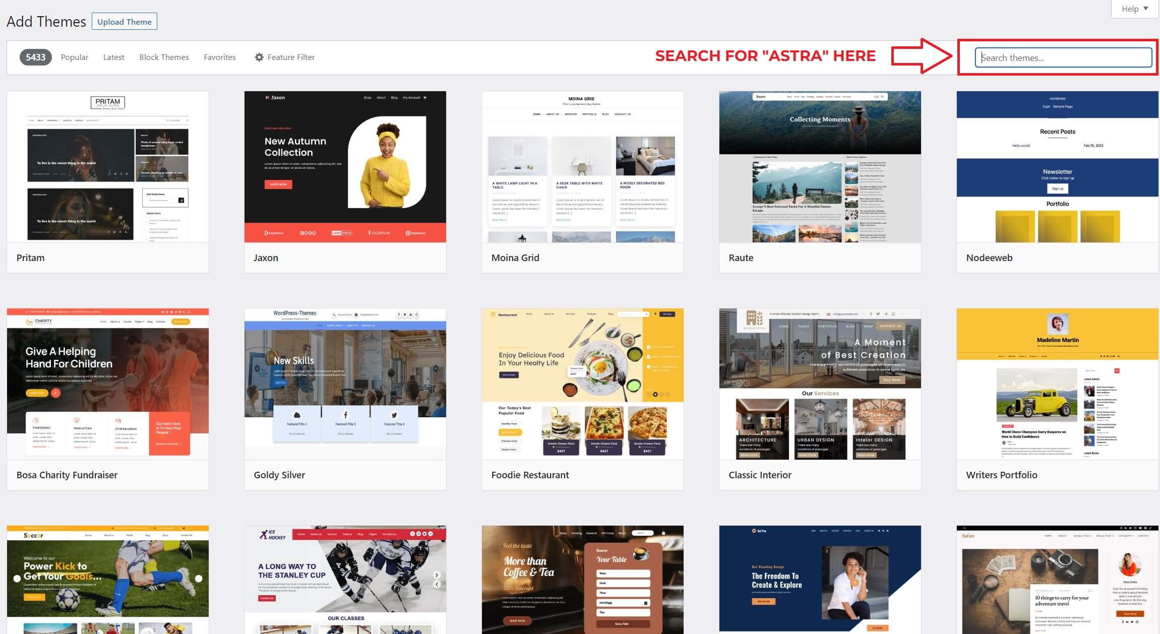 step-4-search-themes